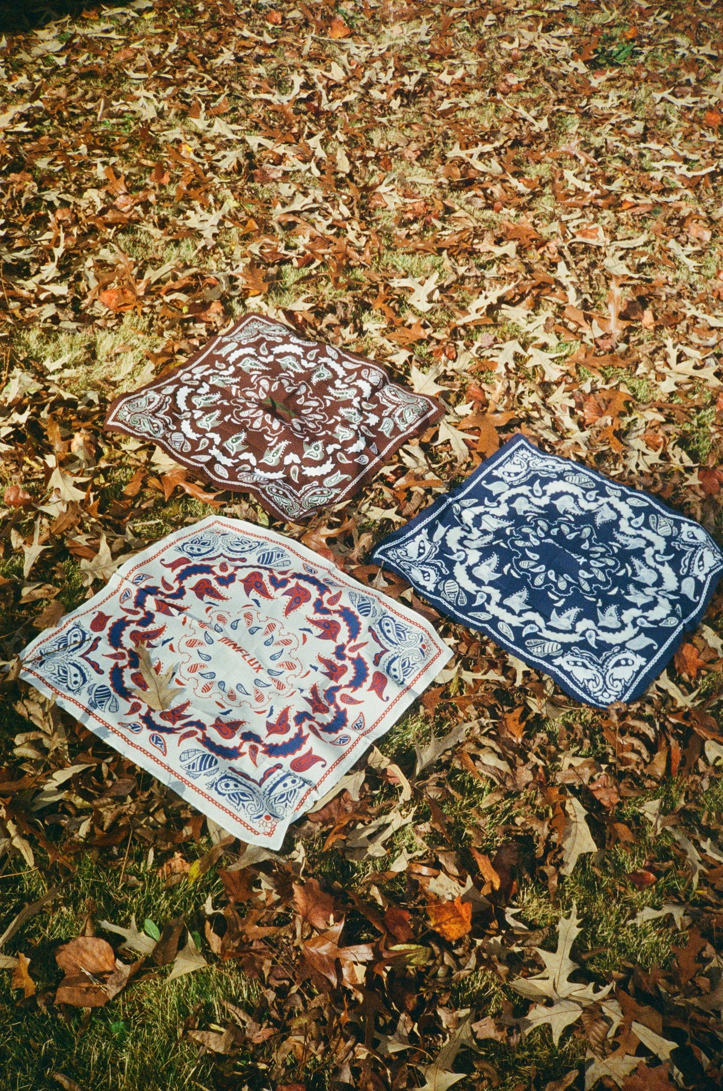 IIInflux Bandana Set